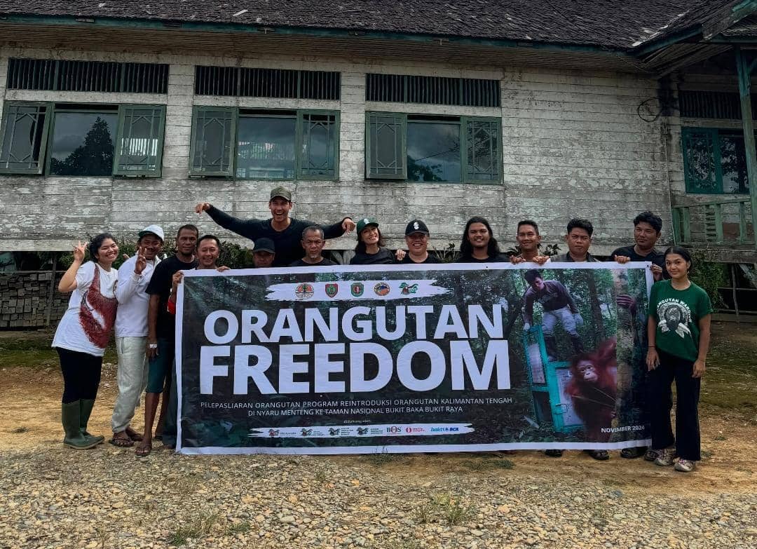 potret Richard Kyle Ikut pelepasliaran orangutan di TNBBBR, Kalteng