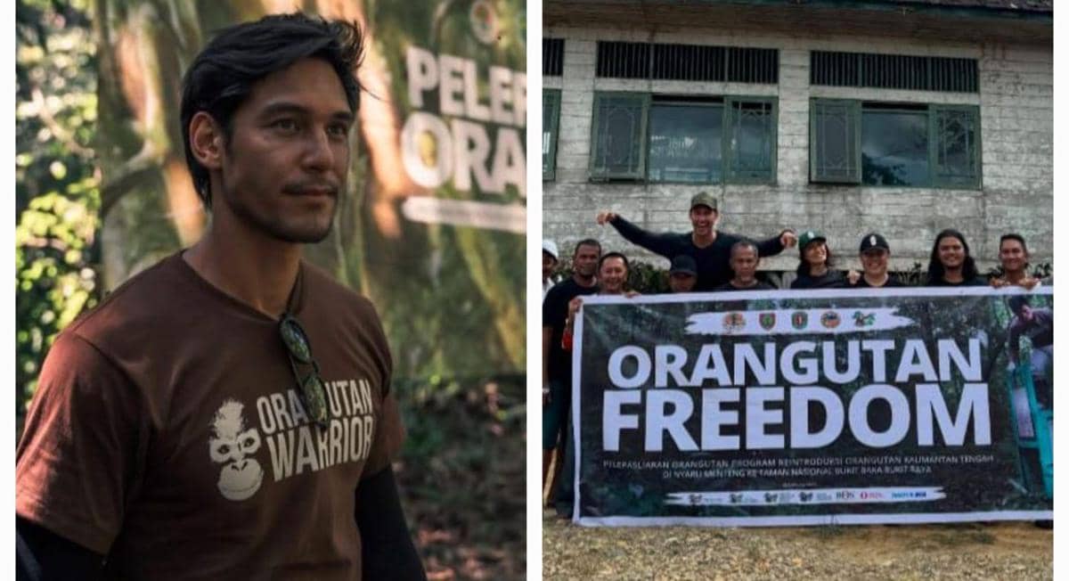 9 Potret Richard Kyle Ikut Pelepasliaran Orangutan di TNBBBR, Kalteng