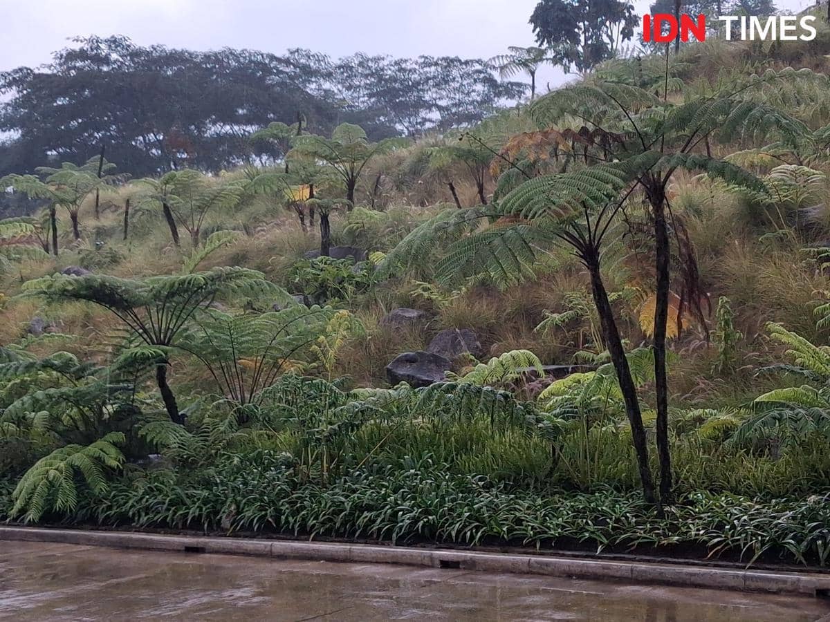 Menengok Rencana Pembukaan Destinasi Ekowisata Baru di Puncak Bogor
