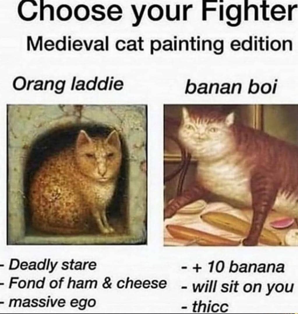 meme kucing dan pisang