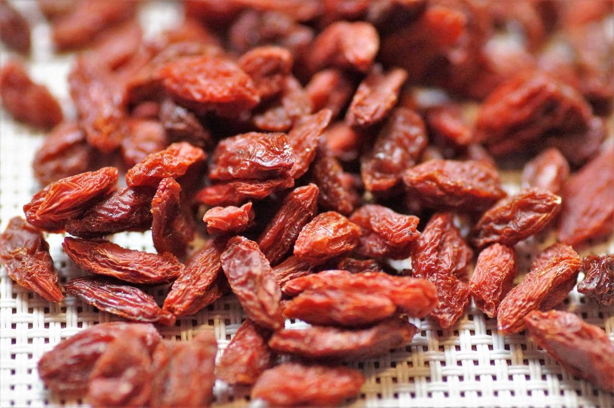 ilustrasi goji berry yang menyehatkan