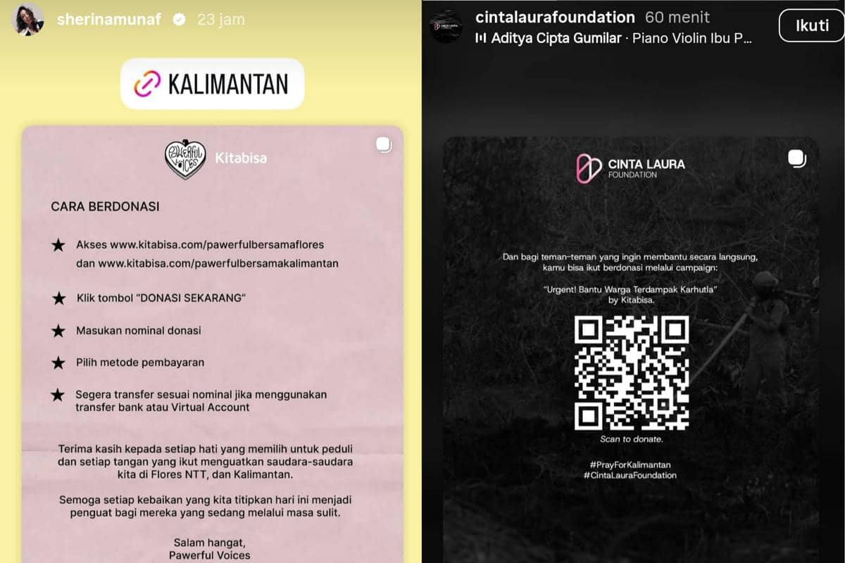 Sederet Artis dan Influencer Galang Donasi untuk Kalimantan