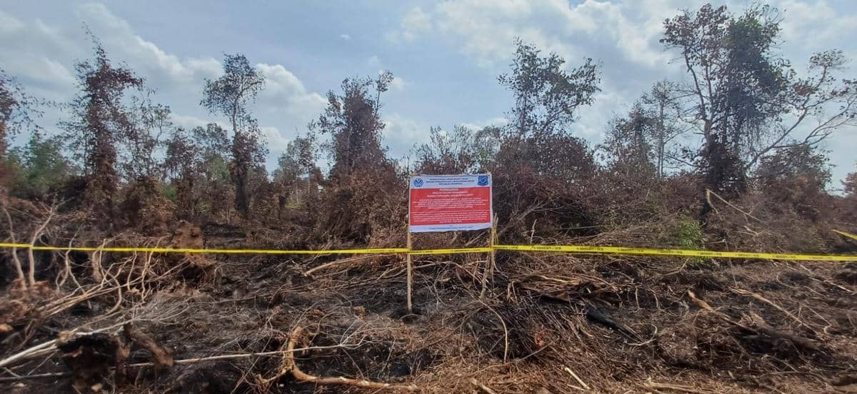 Karhutla Hanguskan 454 Ha Lahan Konsesi, PT BHP Terancam Digugat KLH