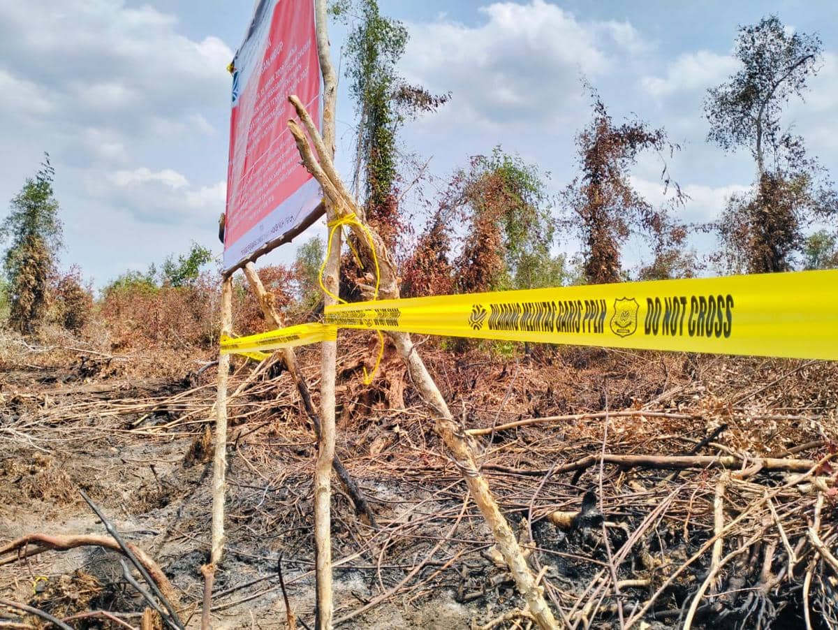 Lahan konsesi milik PT Bintang Harapan Palma (BHP) dipasangi garis pengawas