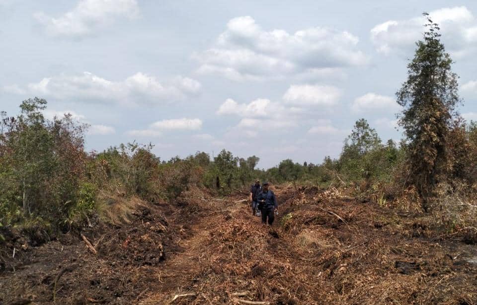 Lahan konsesi milik PT Bintang Harapan Palma (BHP) dipasangi garis pengawas