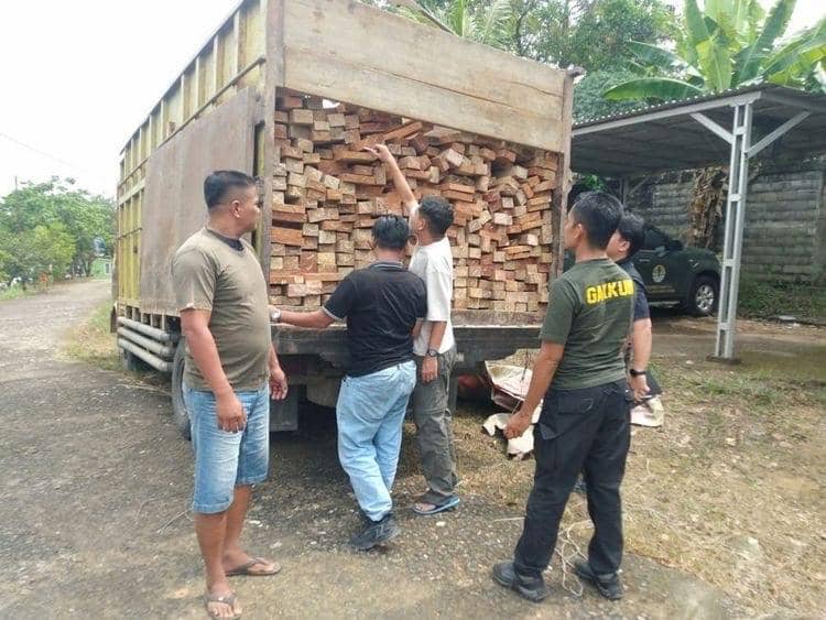 Tangkap Truk Kayu Ilegal, Kemenhut Telusuri Pemasok hingga Penerima