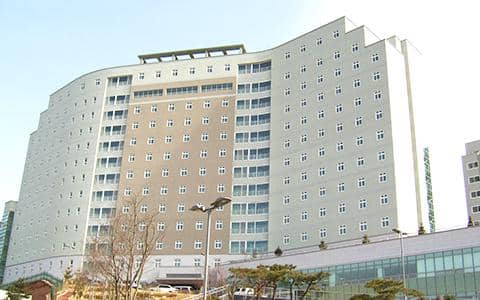 Inha University
