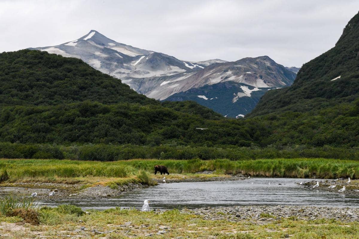 ilustrasi Trails in the Valley of Ten Thousand Smokes