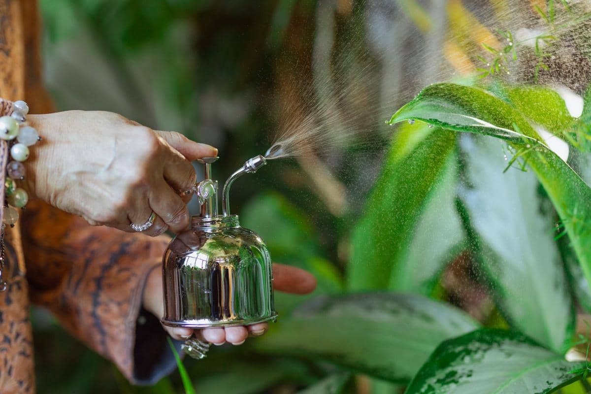 Tangan menyemprotkan cairan dari botol semprot ke daun tanaman hijau dalam ilustrasi perawatan tanaman.