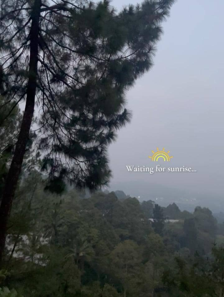 Lala Karmela dan sahabat liburan di hutan pinus