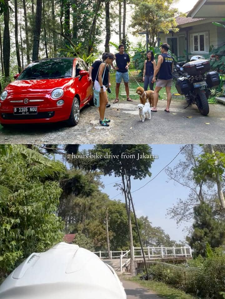 Lala Karmela dan sahabat liburan di hutan pinus