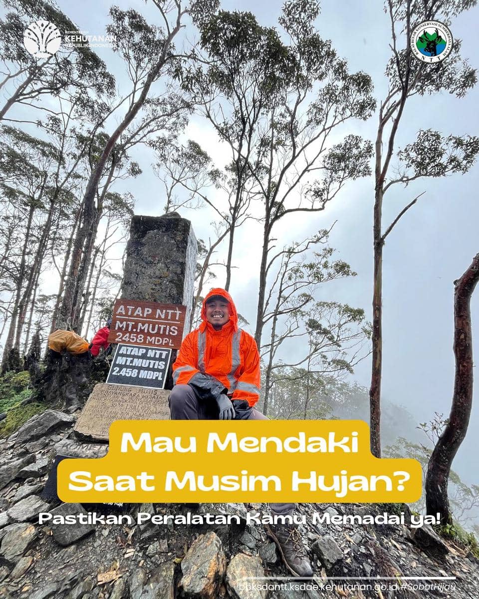 Gunung Mutis (instagram.com/bbksda_ntt)
