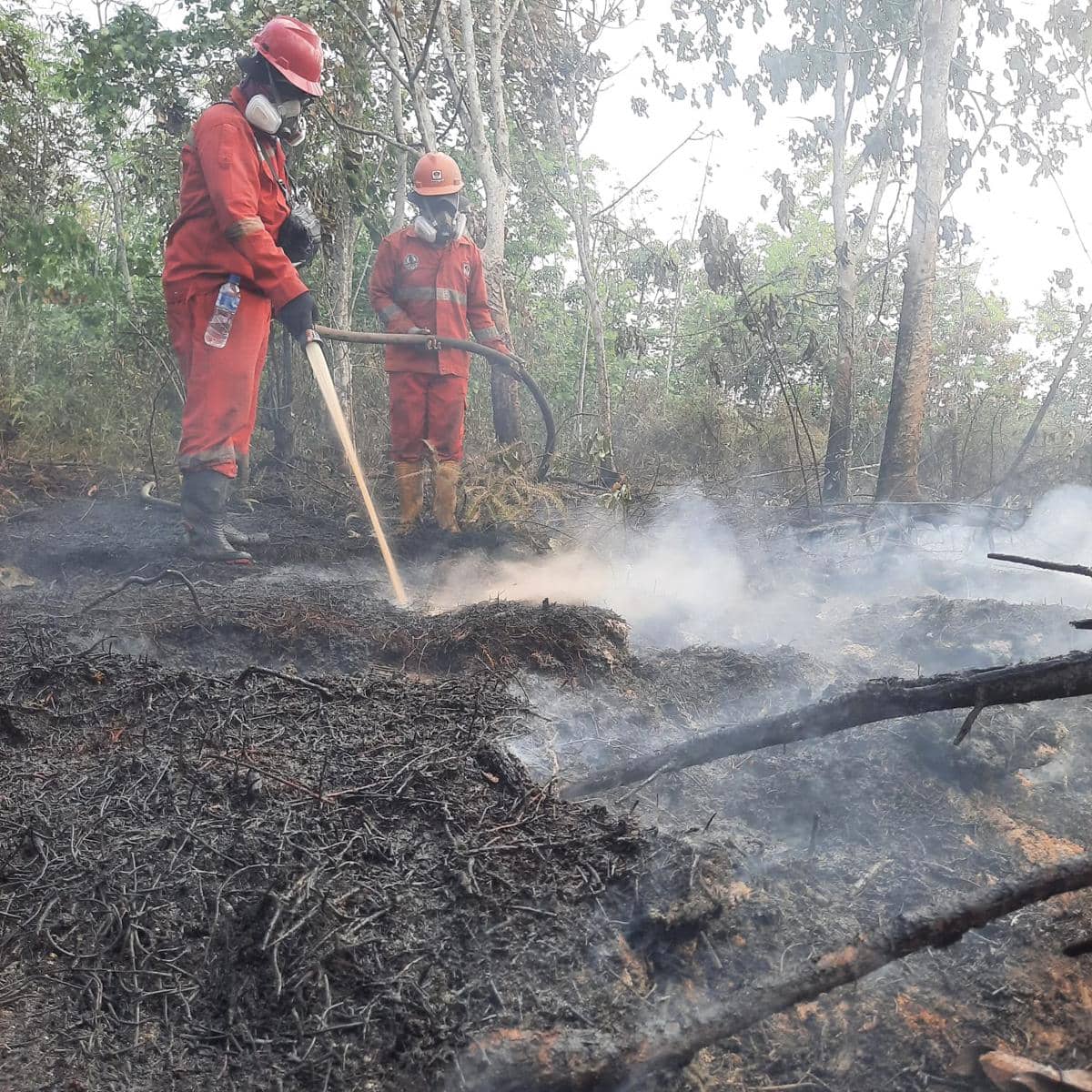 Kemenhut Andalkan Modifikasi Cuaca untuk Hadapi Karhutla di Kalimantan