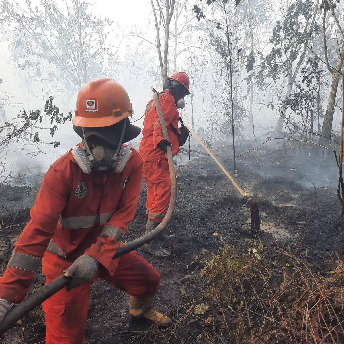 Pemerintah Perkuat Penanganan Karhutla di Kalimantan.