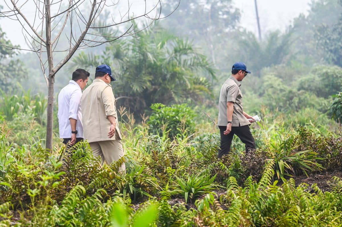 Dari Udara, Prabowo Pantau Karhutla Kalbar yang Capai 38.310 Hektare