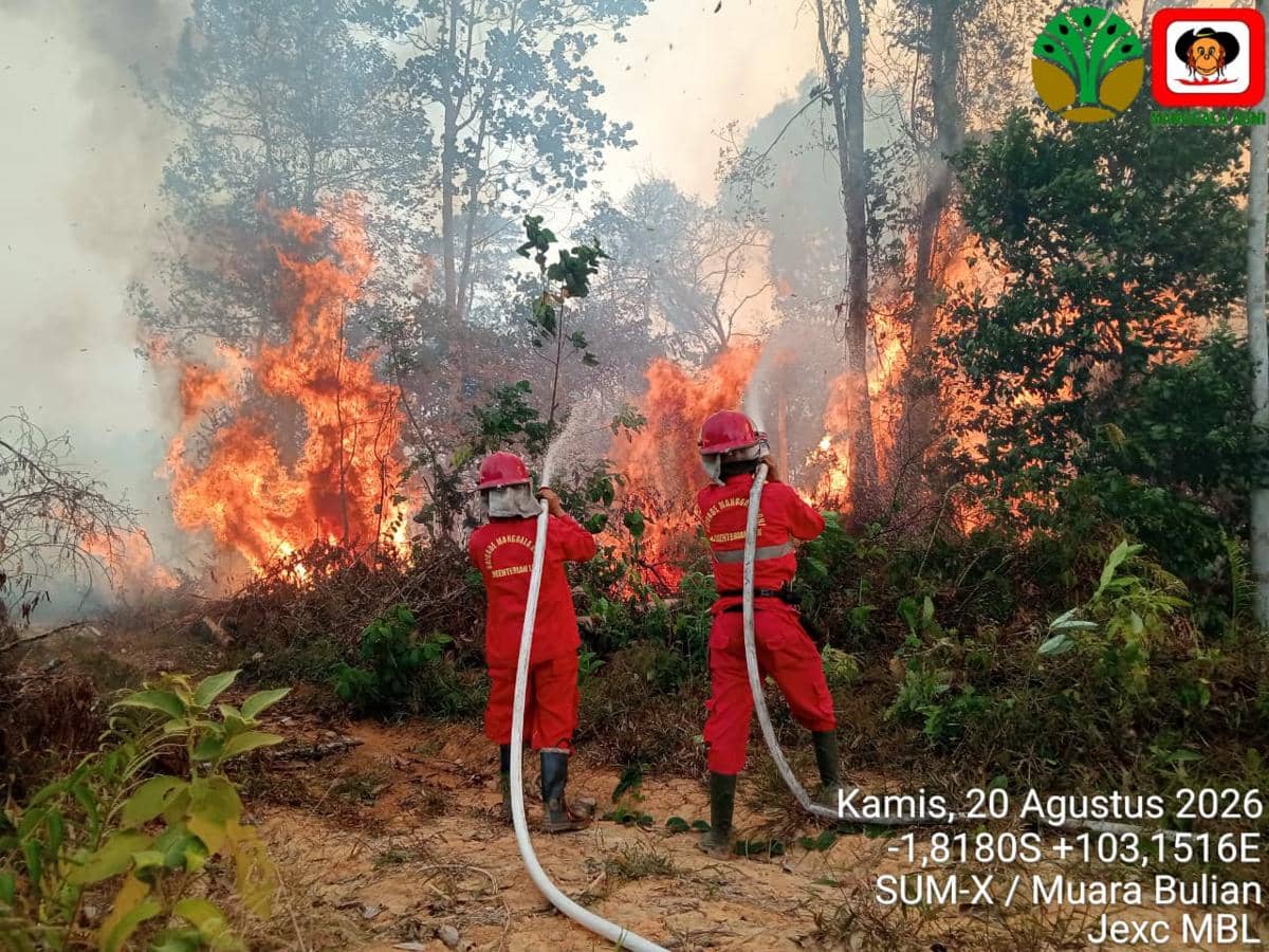 6 Provinsi Jadi Prioritas Pemerintah Hadapi Ancaman Karhutla