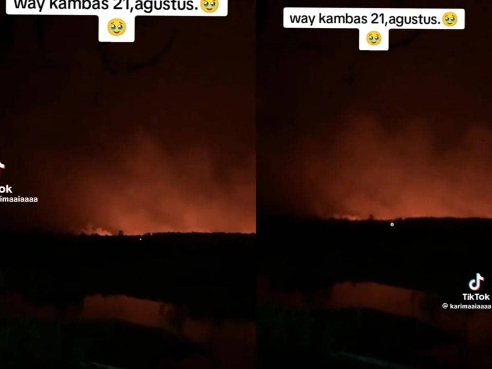 Kebakaran Hebat Melanda TN Way Kambas, Tim Berjibaku Padamkan Api