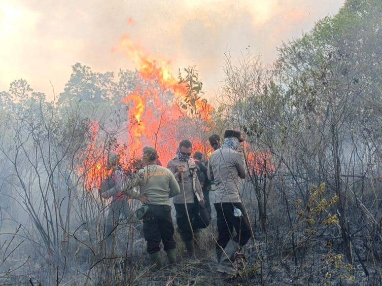 Karhutla di TN Way Kambas Meluas, 673,4 Hektare Lahan Terbakar
