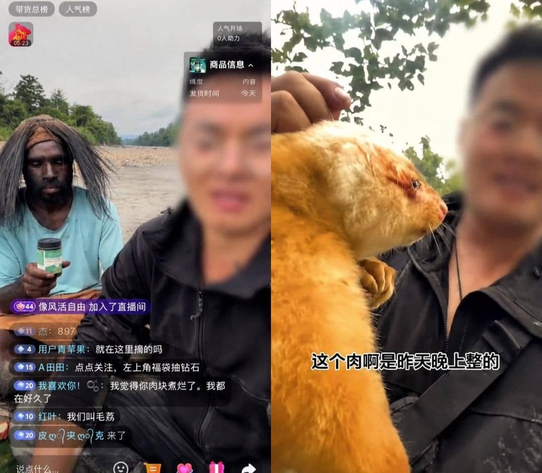 Berburu Kasuari hingga Kuskus, Dua WN China Ditindak Imigrasi