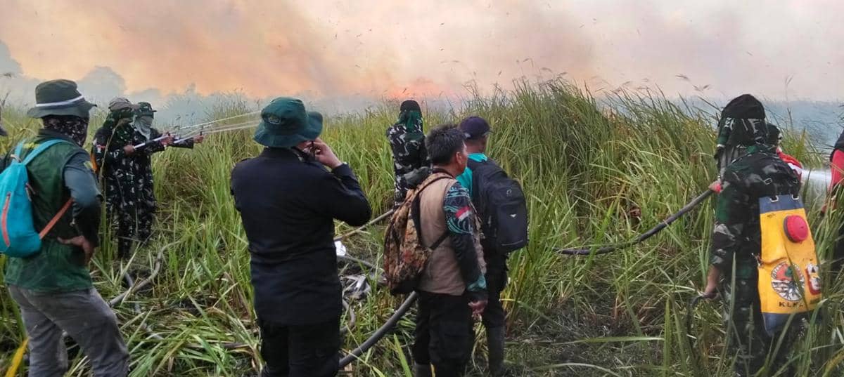 Personel TNI membantu memadakan Karhutla di Taman Nasional Way Kambas, Sabtu (22/8/2026). (Dok. Kodam XXI Radin Inten).