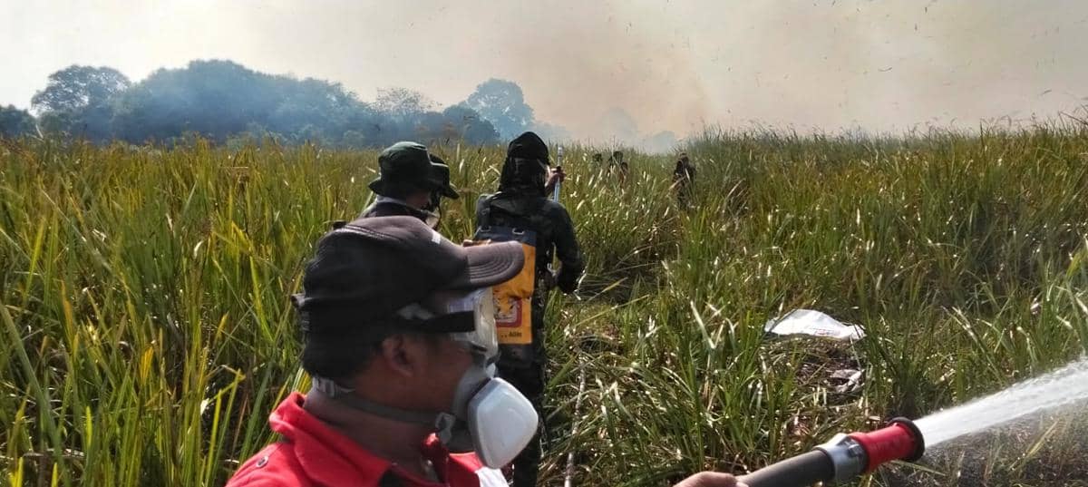 Personel TNI membantu memadakan Karhutla di Taman Nasional Way Kambas, Sabtu (22/8/2026). (Dok. Kodam XXI Radin Inten).