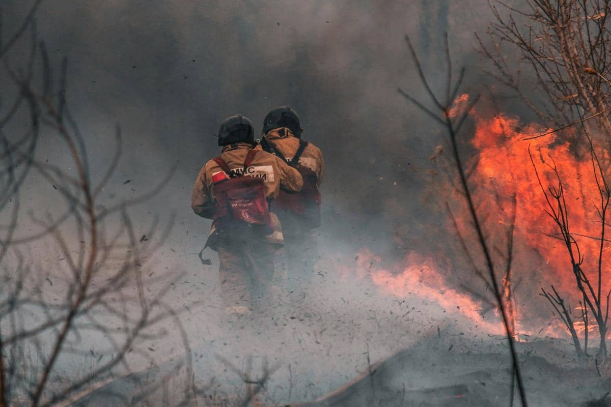 Bagaimana Kebakaran Hutan Bisa Terjadi? Ini Kata Ahli!