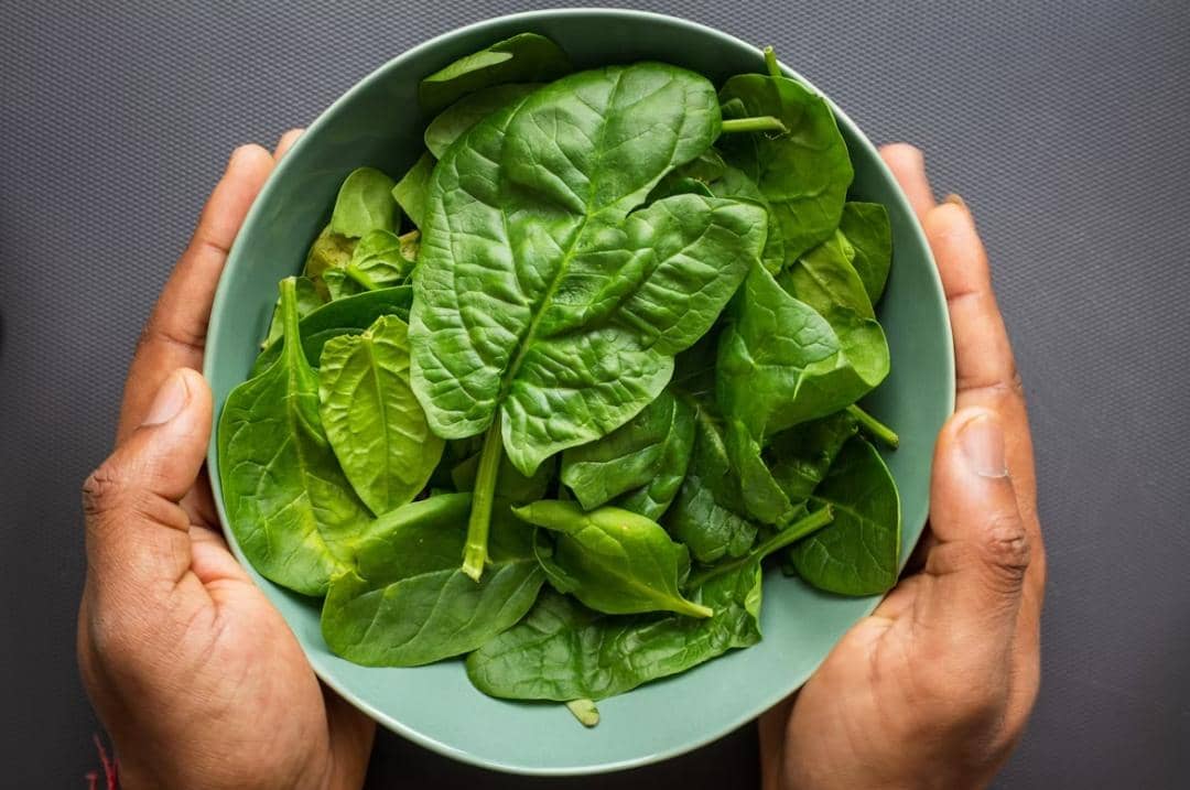 Ilustrasi daun bayam hijau segar sebagai bahan sayuran untuk menu sehat sehari-hari dalam masakan rumah tangga.