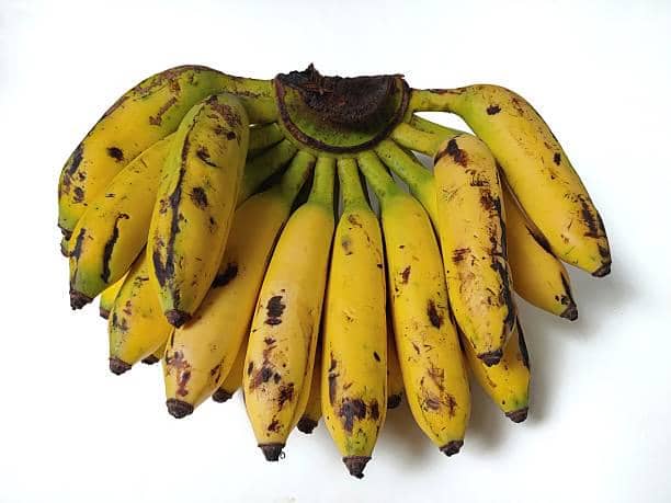 ilustrasi pisang uli