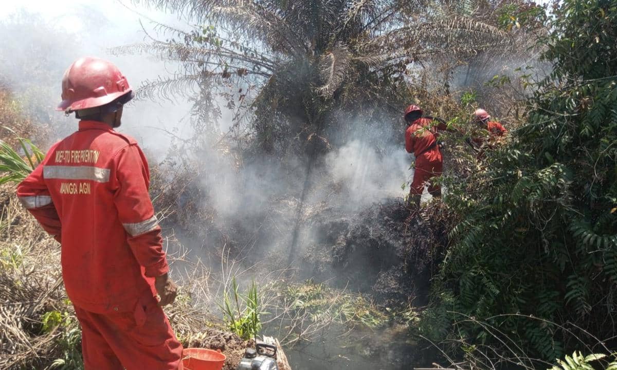 Tim Manggala Agni Daops Sumatra XV/Muba saat mencari sumber air untuk pemadaman karhutla di Muara Medak.