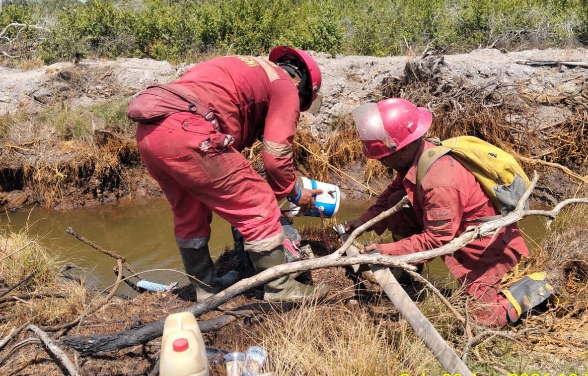 2 Pekan Karhutla Muara Medak Membara, Manggala Agni Kesulitan Sumber Air