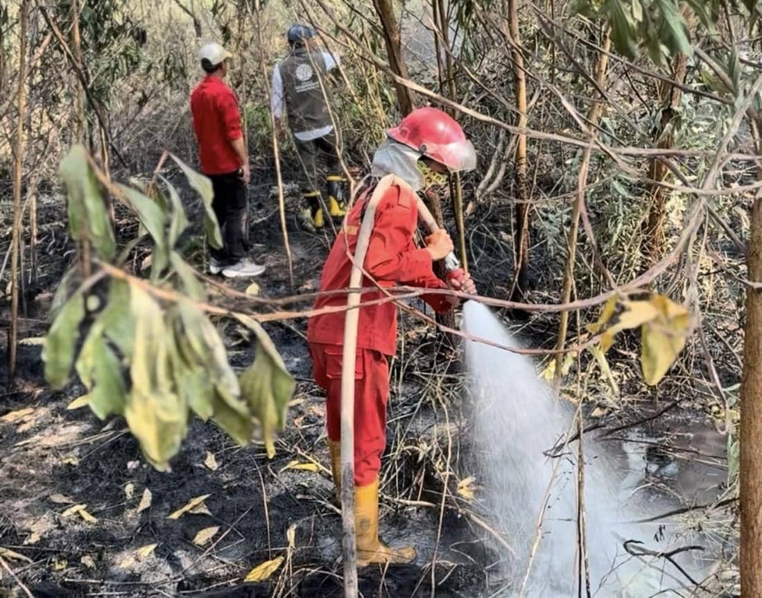 Karhutla di Banjar Kalsel Capai 36 Hektare, Gambut Masih Berasap