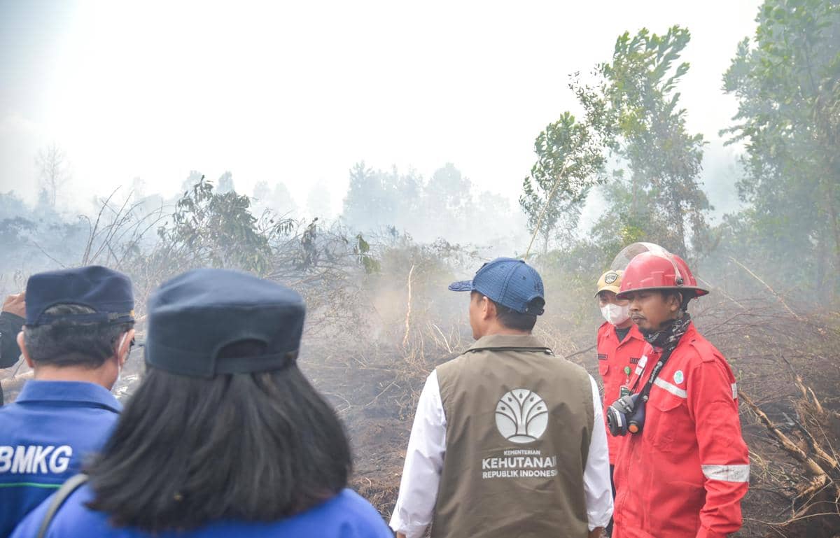 Gakkum Kemenhut Tangani 42 Kasus Karhutla dengan 9 Tersangka