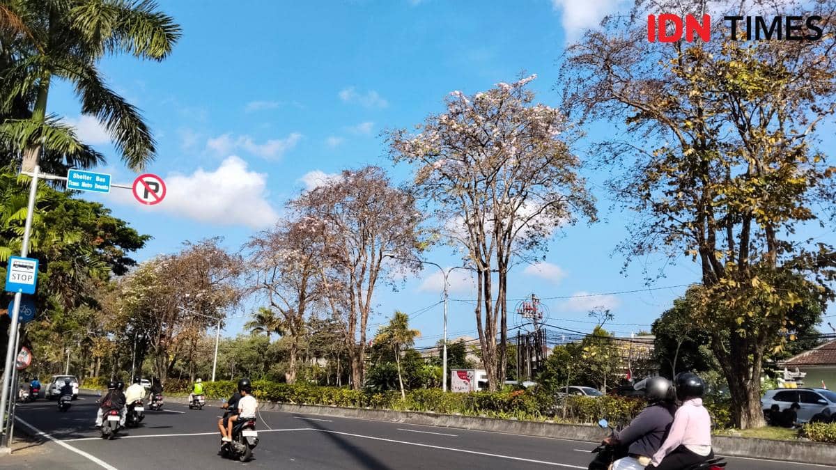 Cuaca Bali 24 Agustus 2026, Cerah Tapi Angin Kencang Mengintai