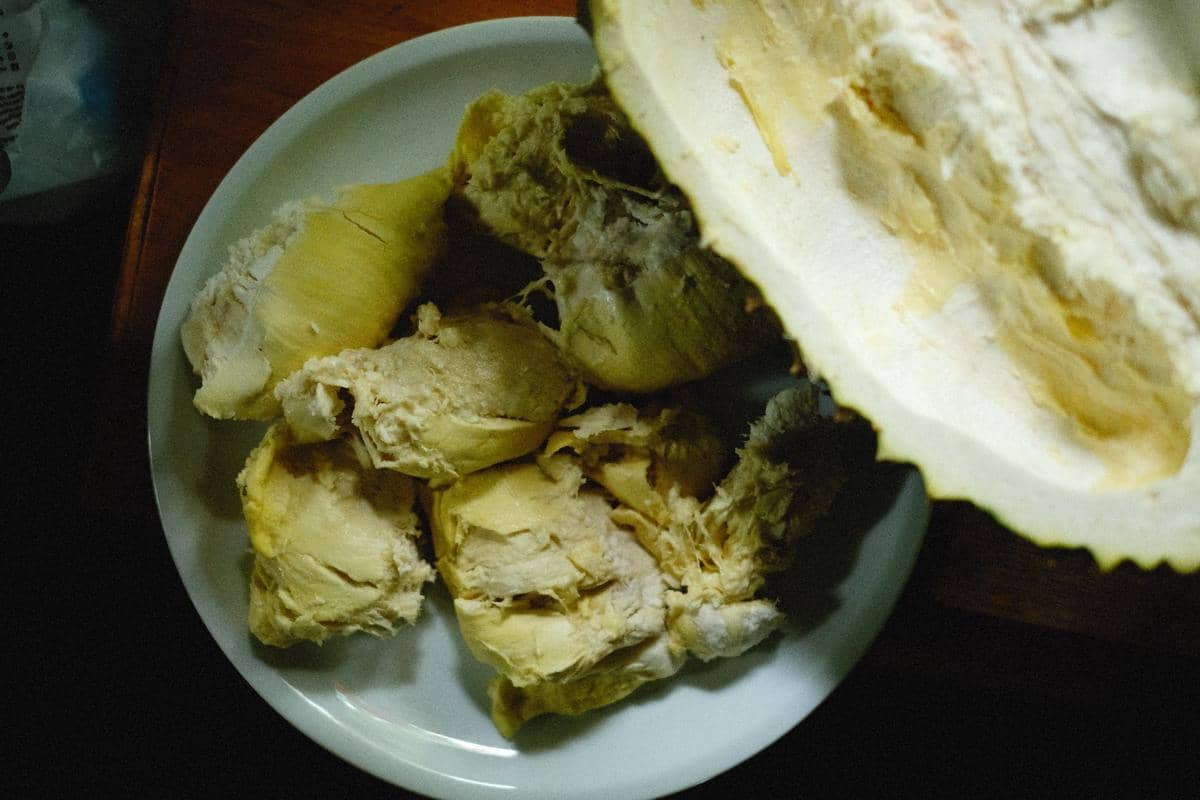 ilustrasi durian