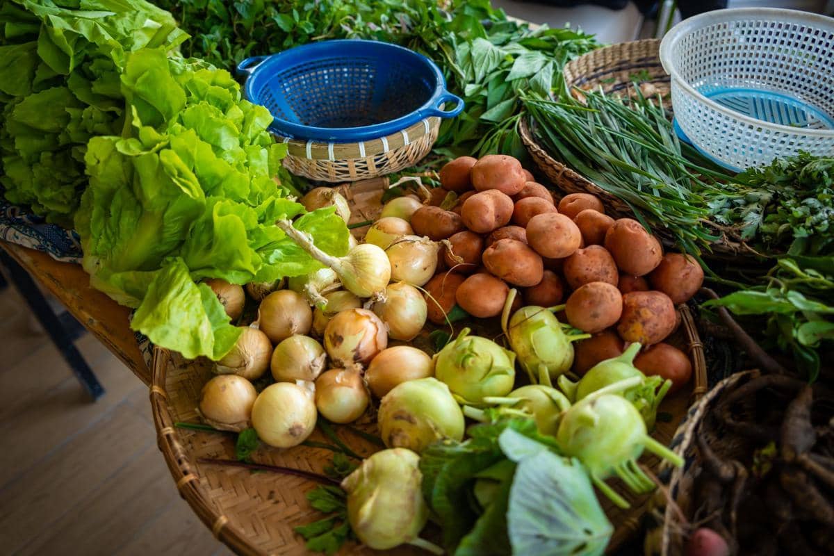 ilustrasi sayur-mayur