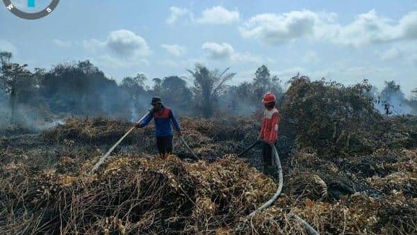 Tito Tak Tahu soal Haji Isam Ditunjuk Prabowo Tangani Karhutla