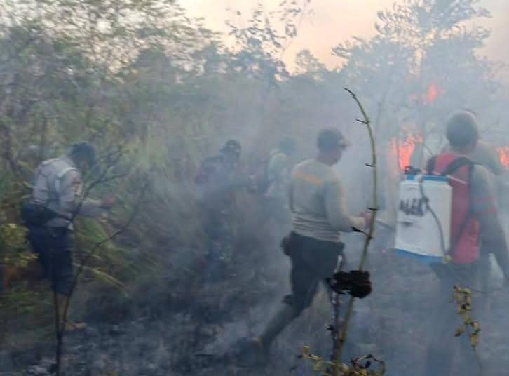 Lahan seluas 673,4 hektare terdampak karhutla di Taman Nasional Way Kambas, petugas gabungan terus berupaya melakukan pemadaman, Kelurahan K