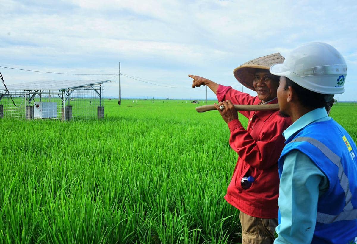 Percontohan Pertanian Modern–Advanced Agriculture System (PM-AAS) di Kampung Rama Nirwana, Kecamatan Seputih Raman, Kabupaten Lampung Tengah