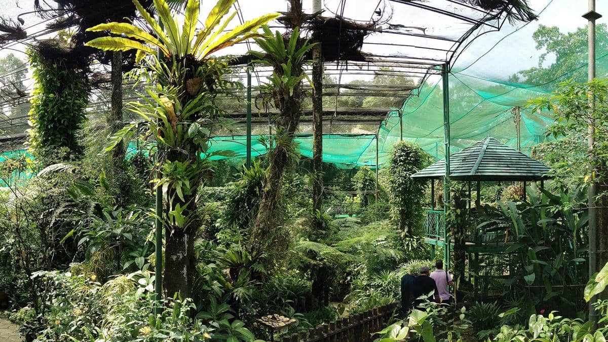 Cara ke Butterfly Park Kuala Lumpur dari Lake Gardens