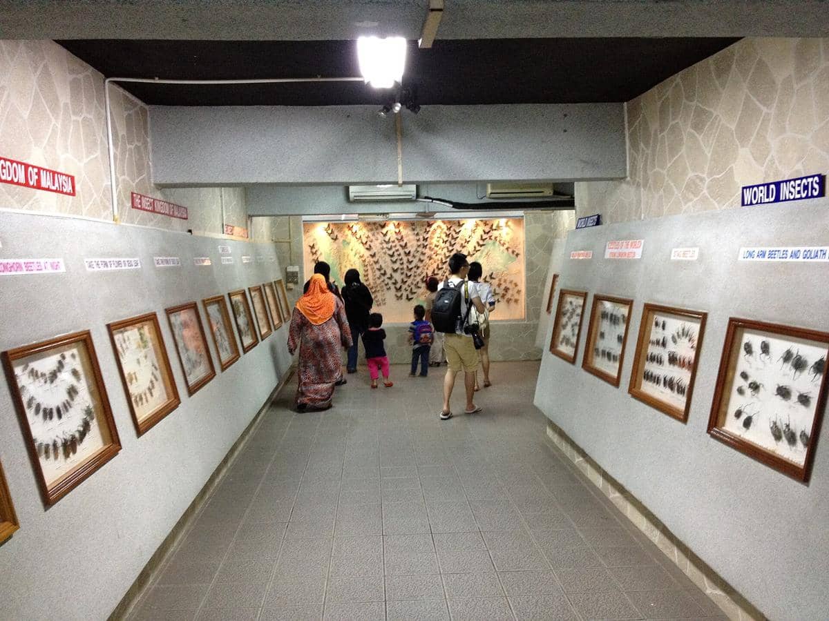 Butterfly Park Kuala Lumpur