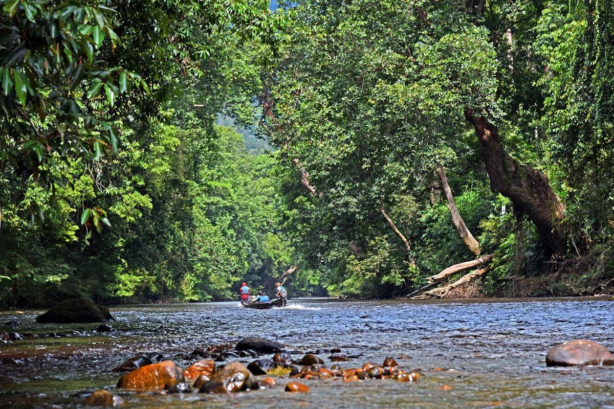 potret Taman Negara Pahang