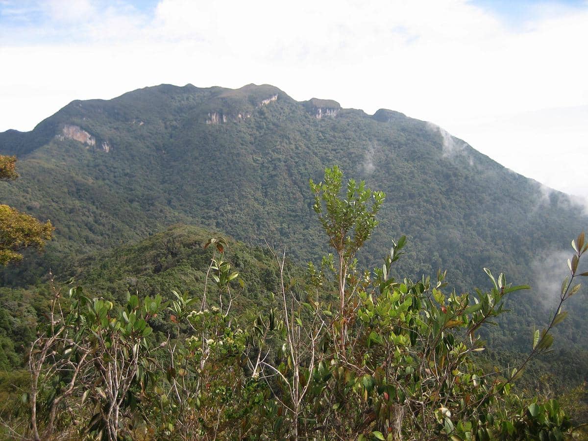 potret Gunung Tahan