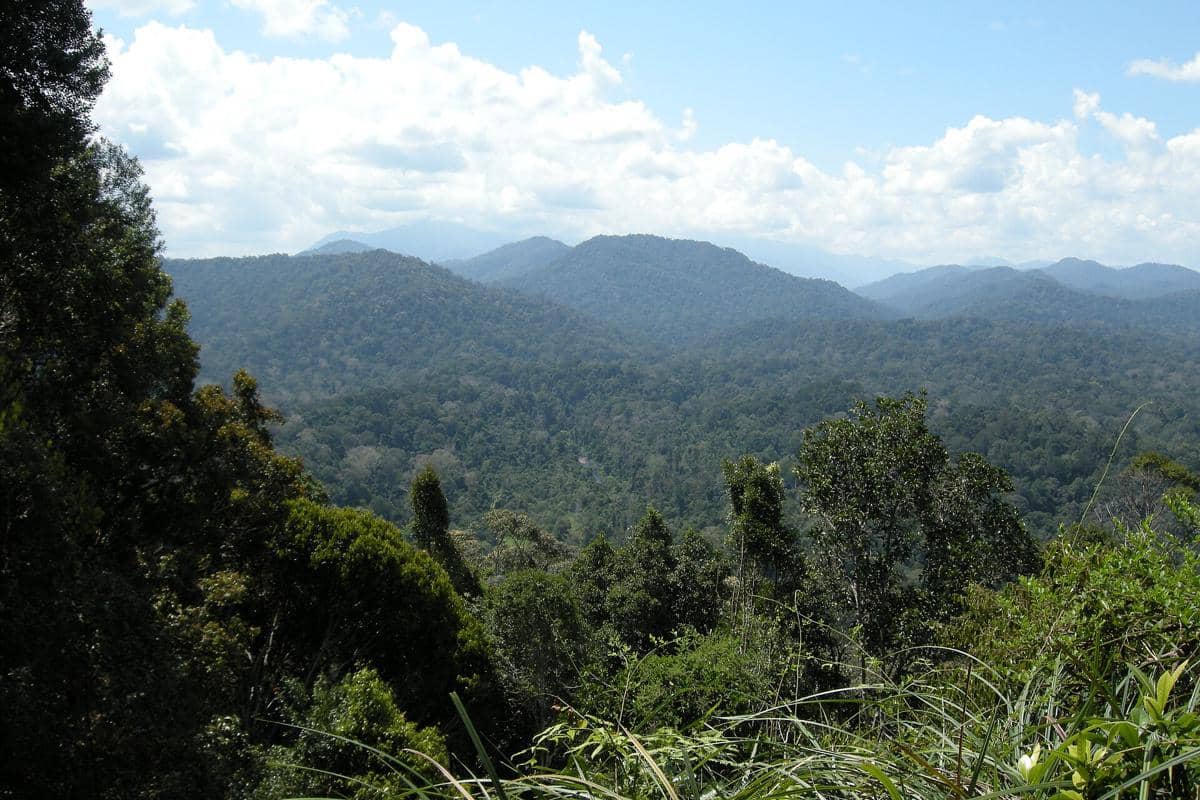 potret Taman Negara Pahang