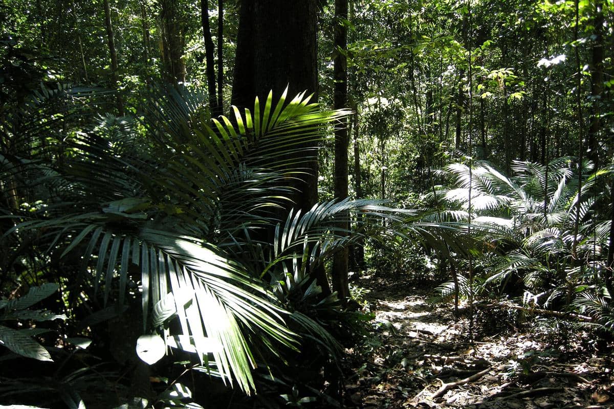 potret Taman Negara Pahang