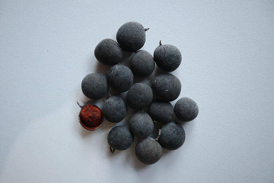 Buah asam keranji
