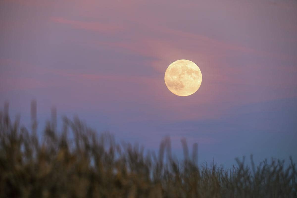 ilustrasi fenomena sturgeon moon