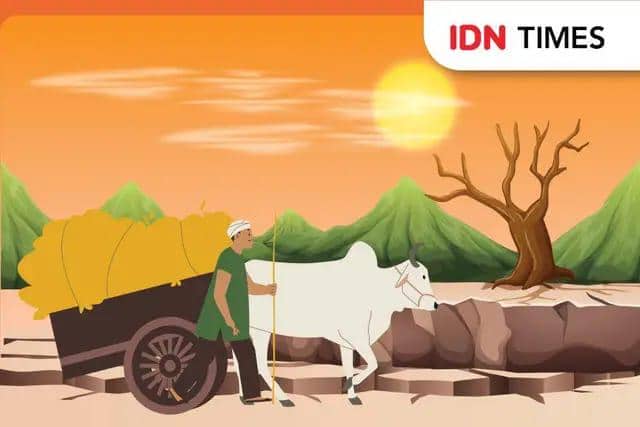 Kekeringan di Malang Meluas, Empat Kecamatan Kini Kekurangan Air