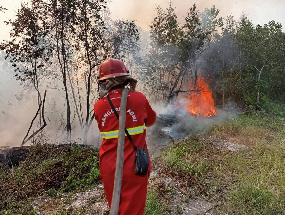 Petugas Karhutla Tumbang saat Tugas di Banjar, Bupati Gratiskan Biaya