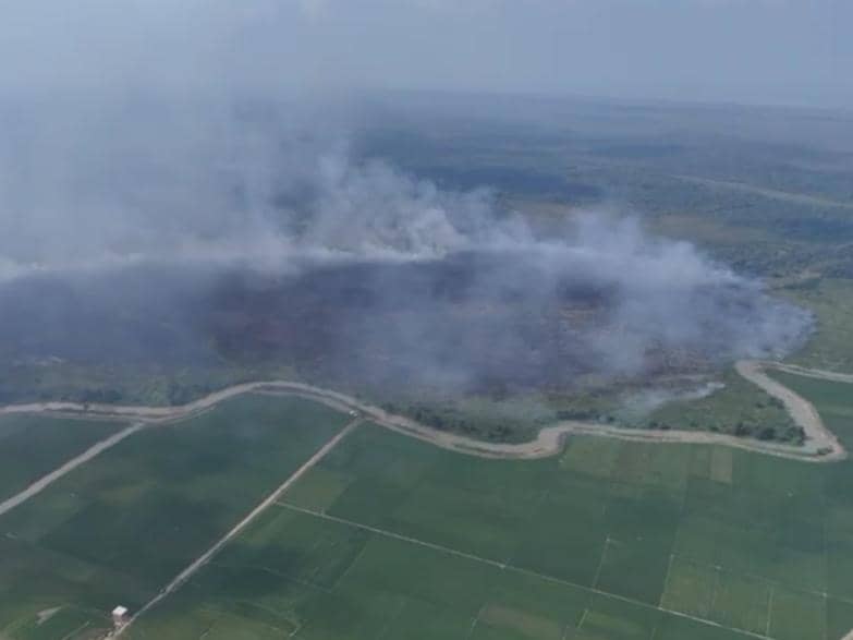 100 Hektare Lahan di Way Kambas Masih Terbakar, Dua Helikopter Dikirim
