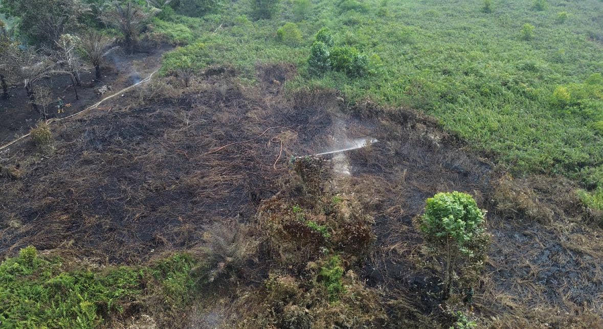 200 Kali Water Bombing Tekan Karhutla Kalbar, Hotspot Sisa 28 Titik